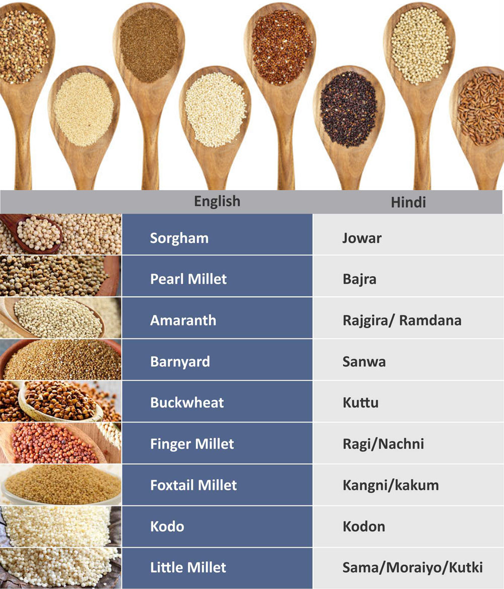 glossary millets